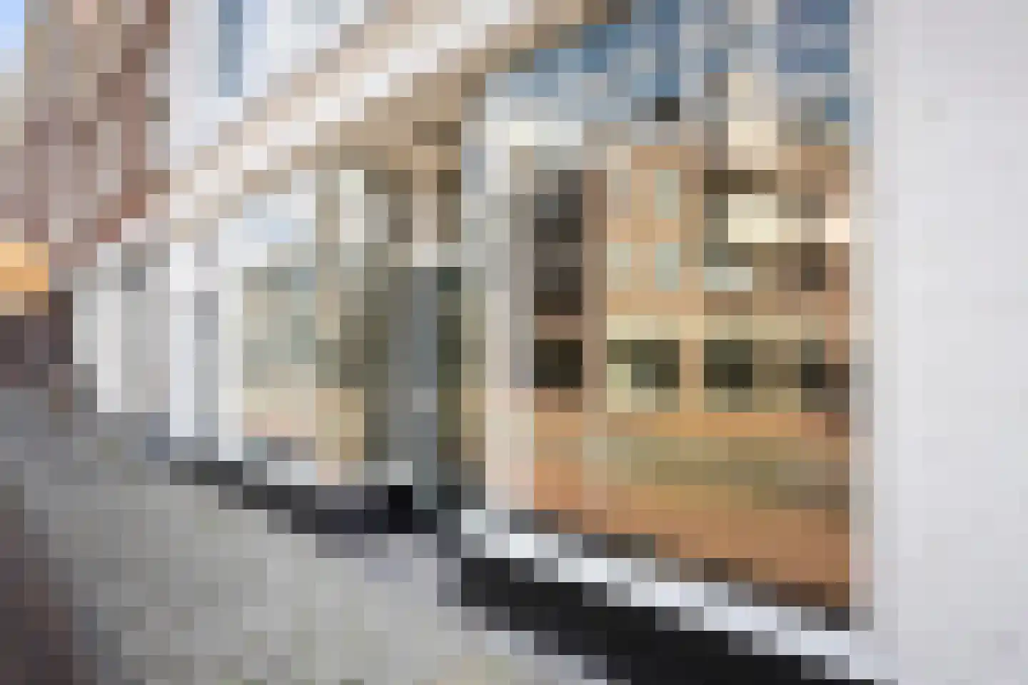 Wagenweg 29 Haarlem thumbnail 6