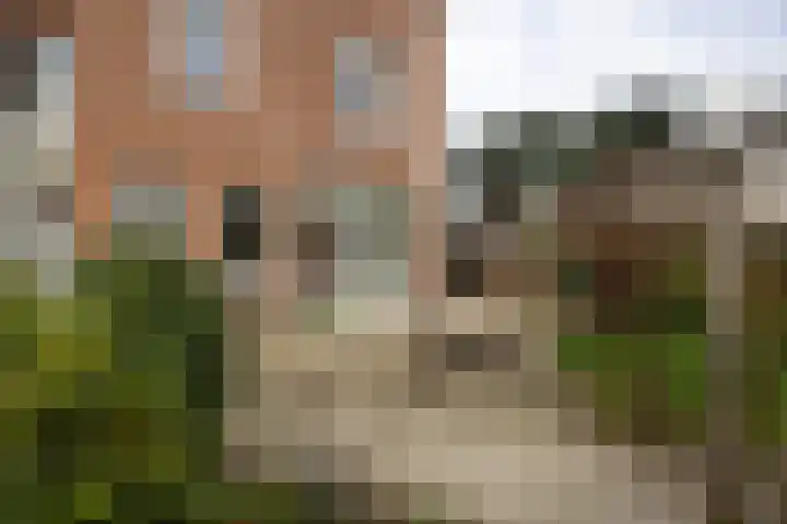Wagenweg 55 Haarlem thumbnail 17