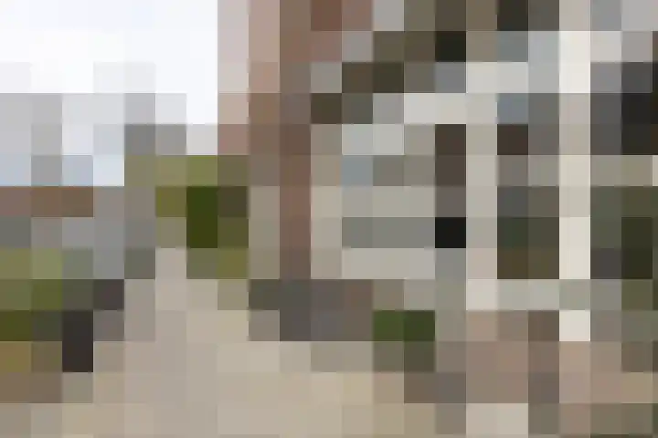 Wagenweg 55 Haarlem thumbnail 37