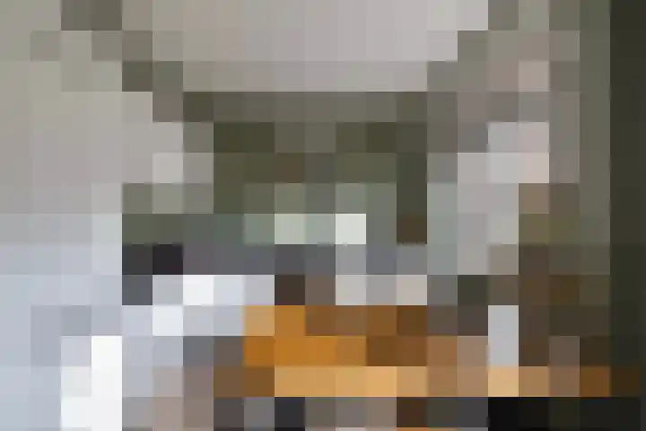 Wagenweg 7 Huizen thumbnail 13