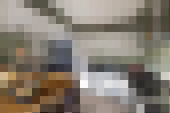 Wagenweg 7 Huizen thumbnail 14