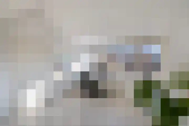 Wagenweg 7 Huizen thumbnail 26