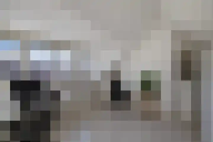 Wagenweg 7 Huizen thumbnail 27
