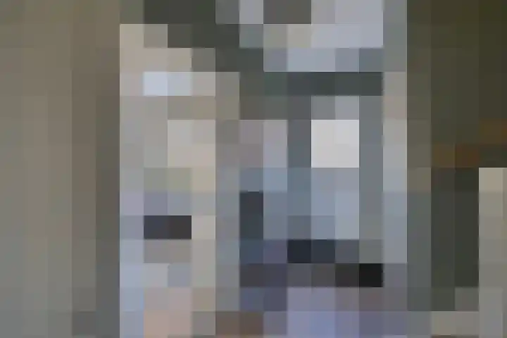 Wagenweg 7 Huizen thumbnail 5