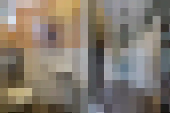 Wagenweg 7 Huizen thumbnail 6