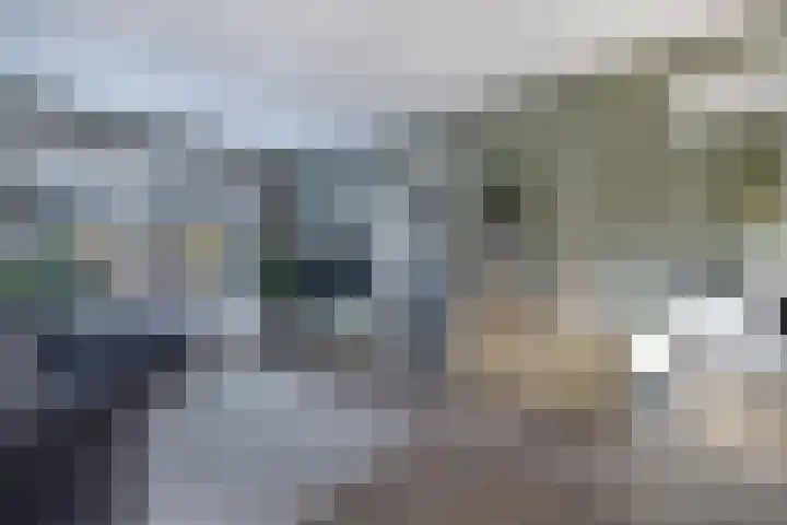 Wagenweg 7 Huizen thumbnail 8