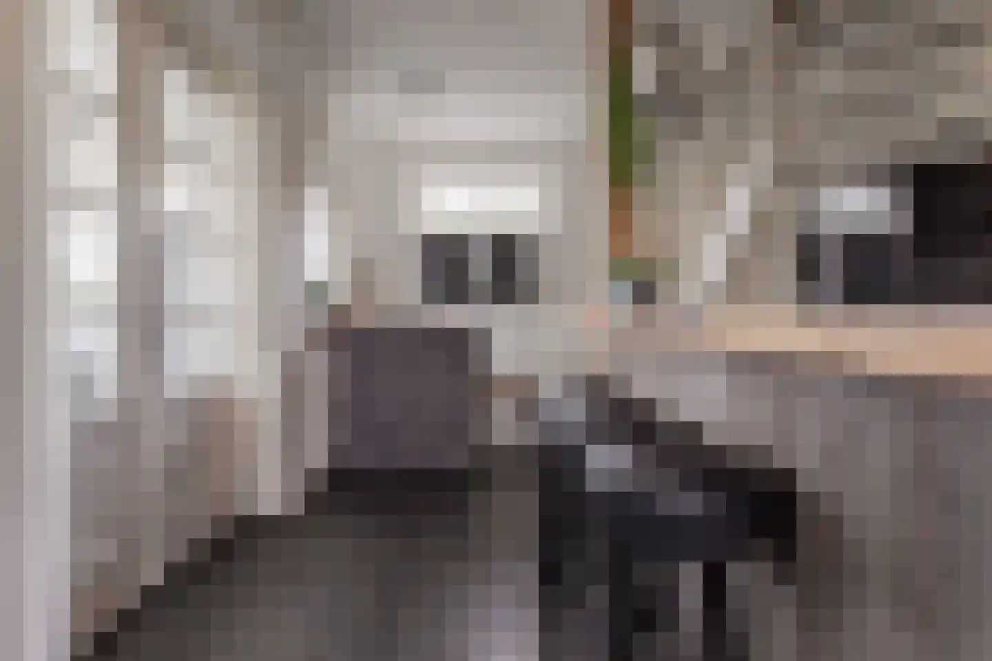 Wagenweijdt 11 Middenmeer thumbnail 21