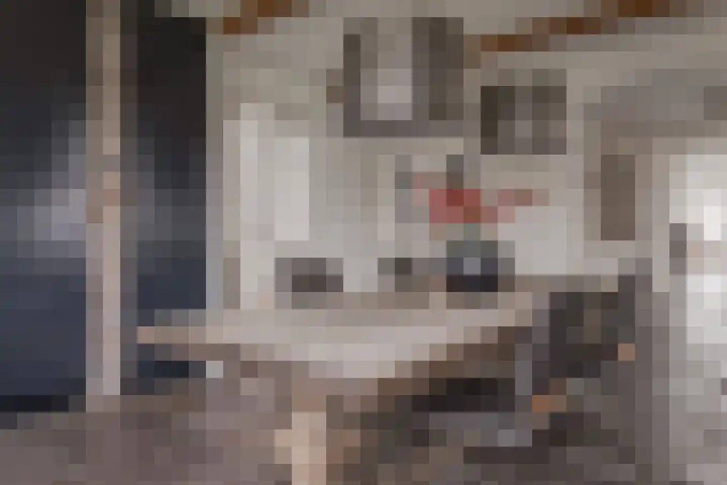 Wagenweijdt 11 Middenmeer thumbnail 7