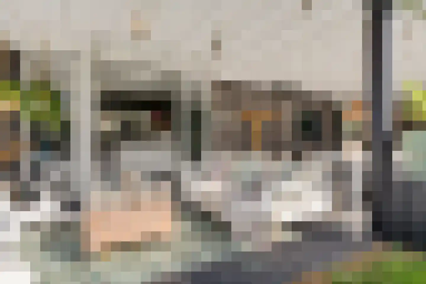 Wagenwielpad 9 Oss thumbnail 11