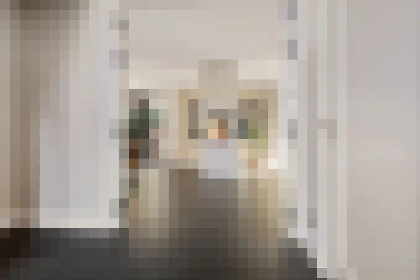 Wagenwielpad 9 Oss thumbnail 14