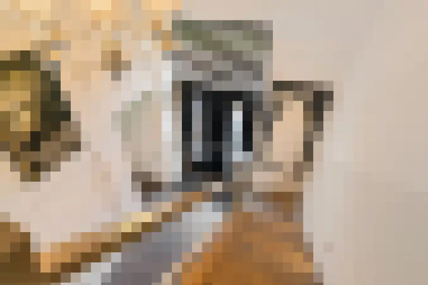 Wagenwielpad 9 Oss thumbnail 19