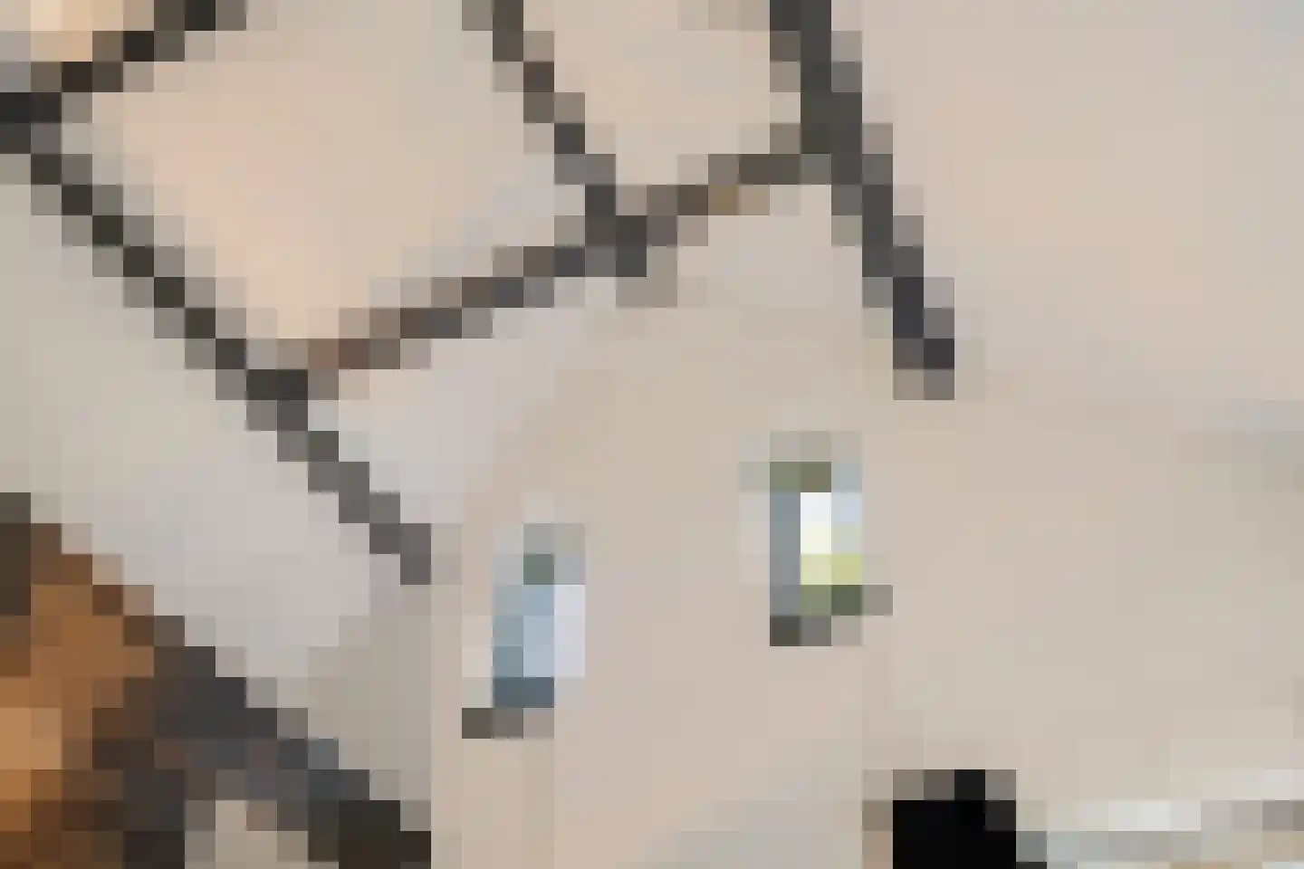 Wagenwielpad 9 Oss thumbnail 33