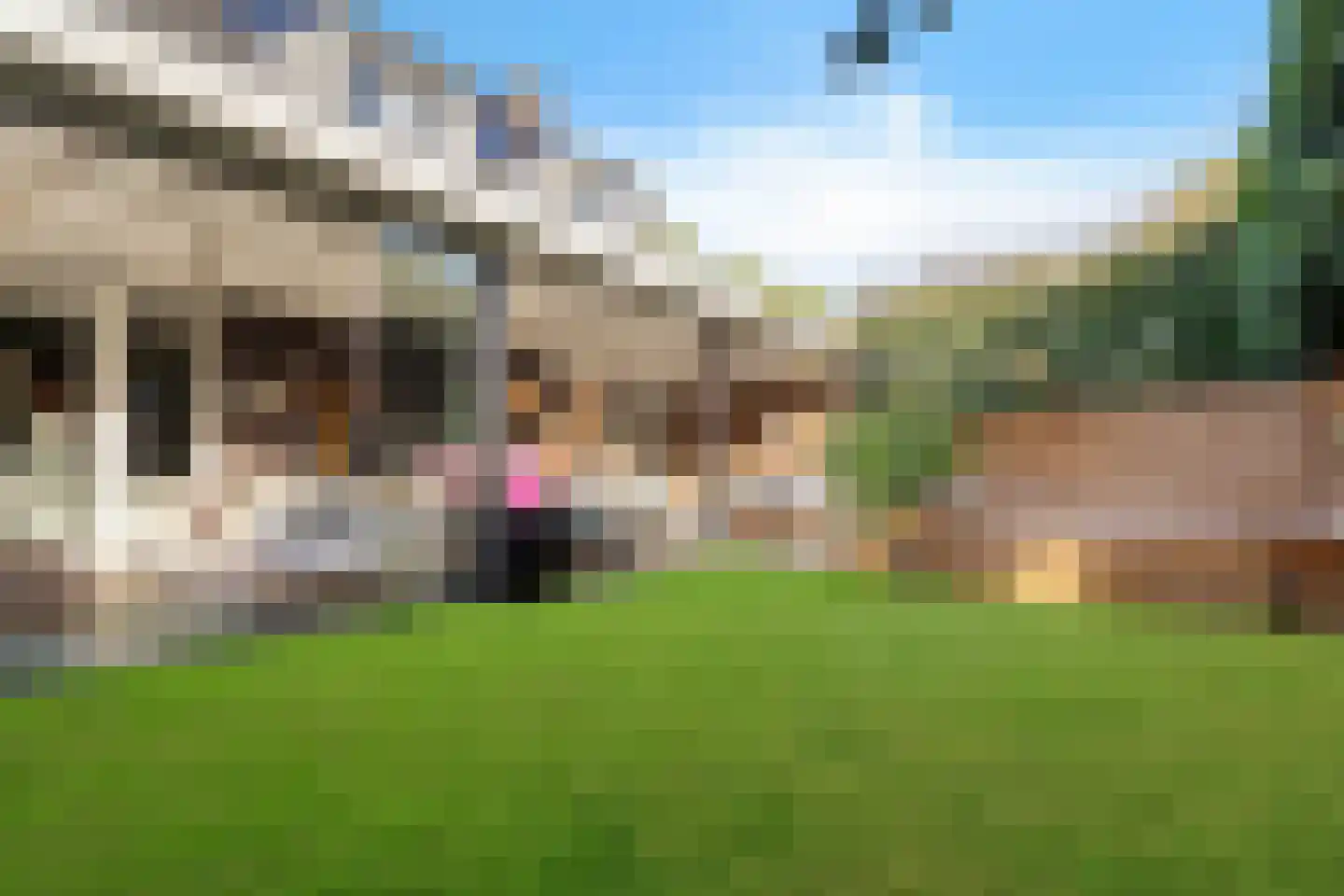 Wagenwielpad 9 Oss thumbnail 34