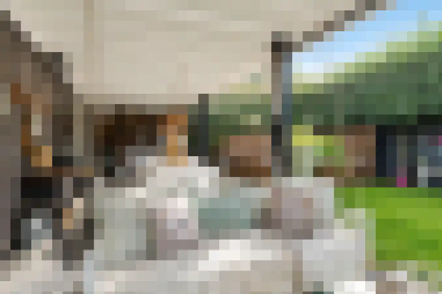 Wagenwielpad 9 Oss thumbnail 37