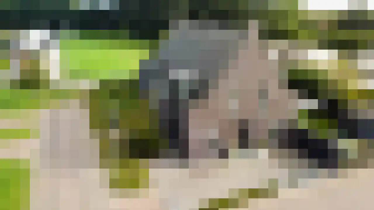 Wagenwielpad 9 Oss thumbnail 42