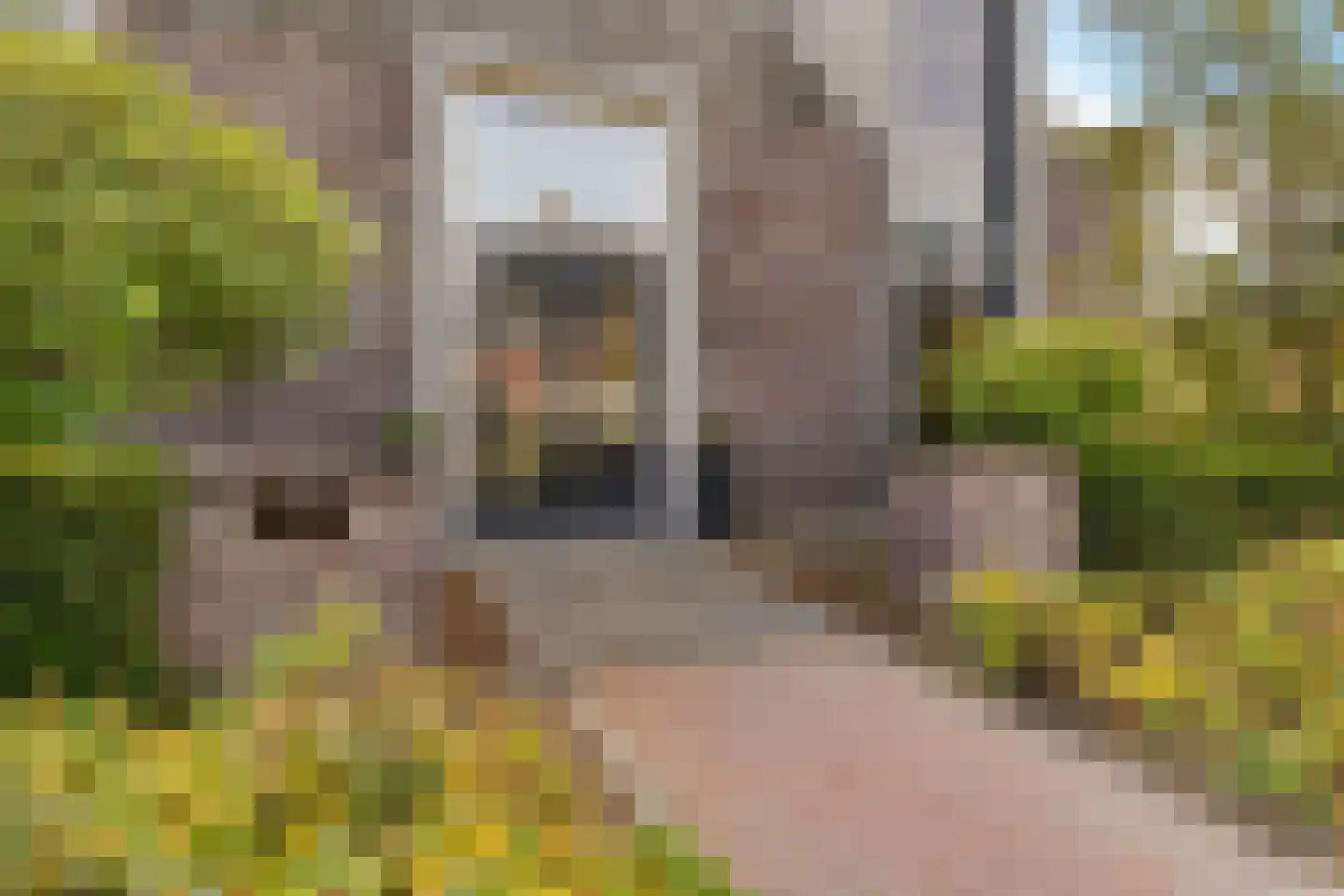 Wagenwielpad 9 Oss thumbnail 47