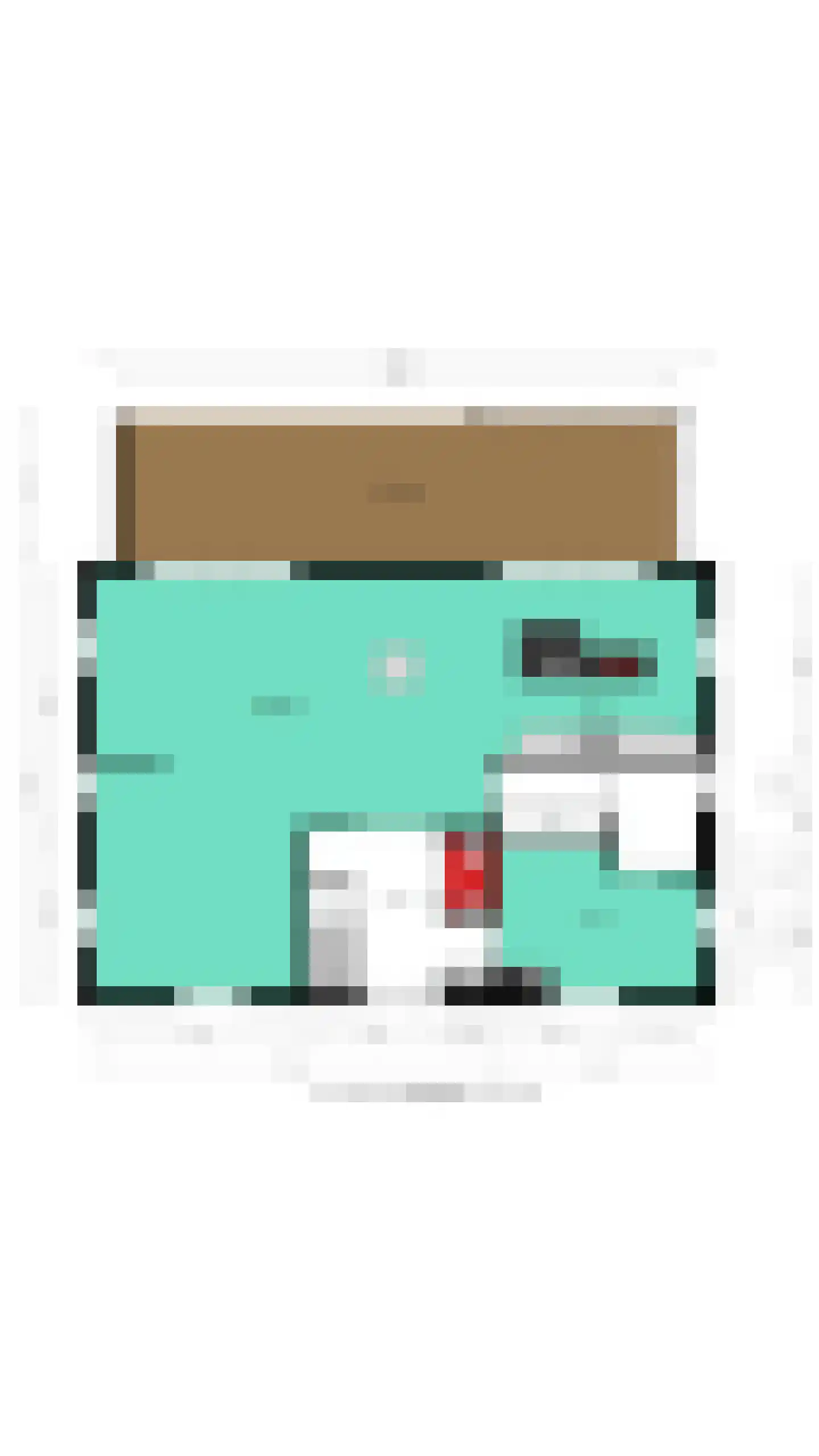 Wagenwielpad 9 Oss thumbnail 52