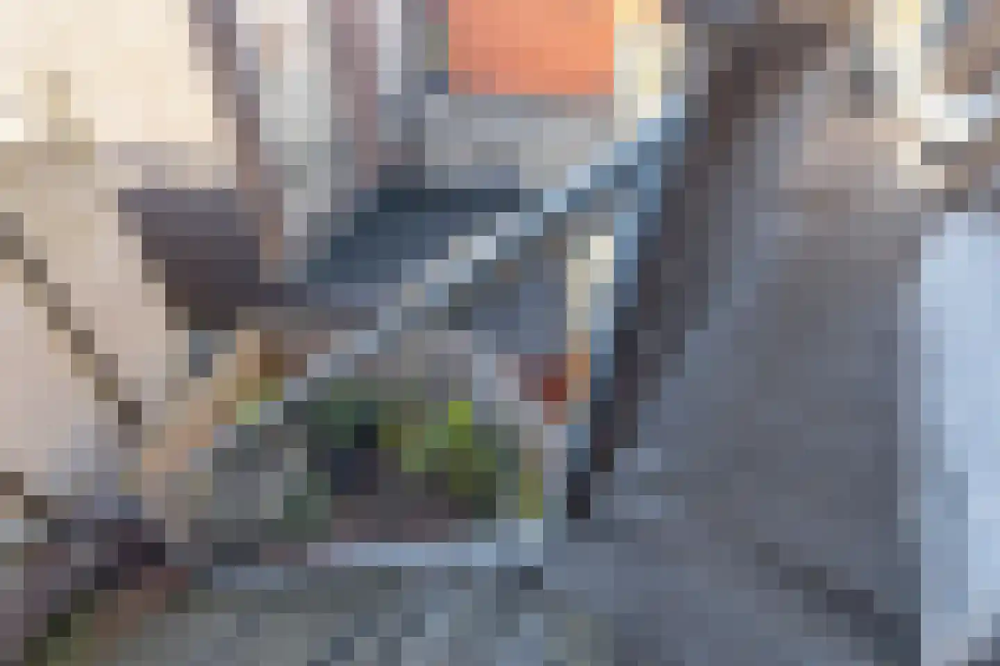 Wageweg 75 A Alkmaar thumbnail 33