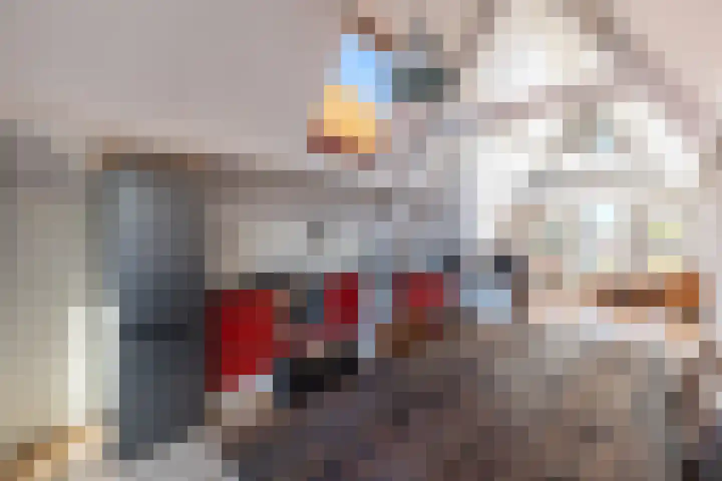 Wageweg 75 A Alkmaar thumbnail 4