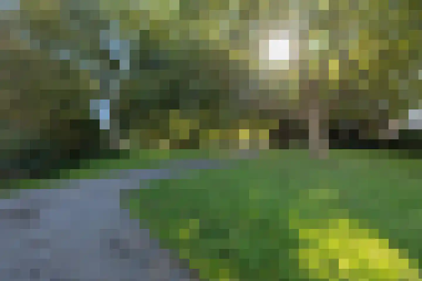 Wageweg 75 A Alkmaar thumbnail 44