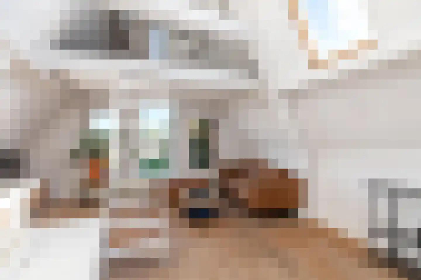 Wageweg 75 A Alkmaar thumbnail 8
