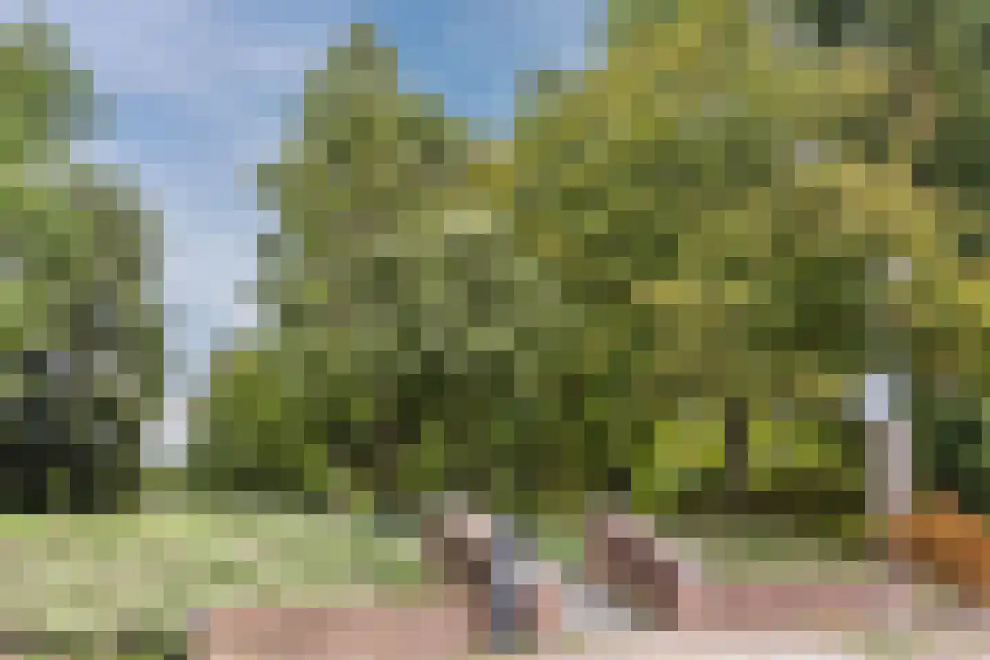Wageweg 78 A Alkmaar thumbnail 23