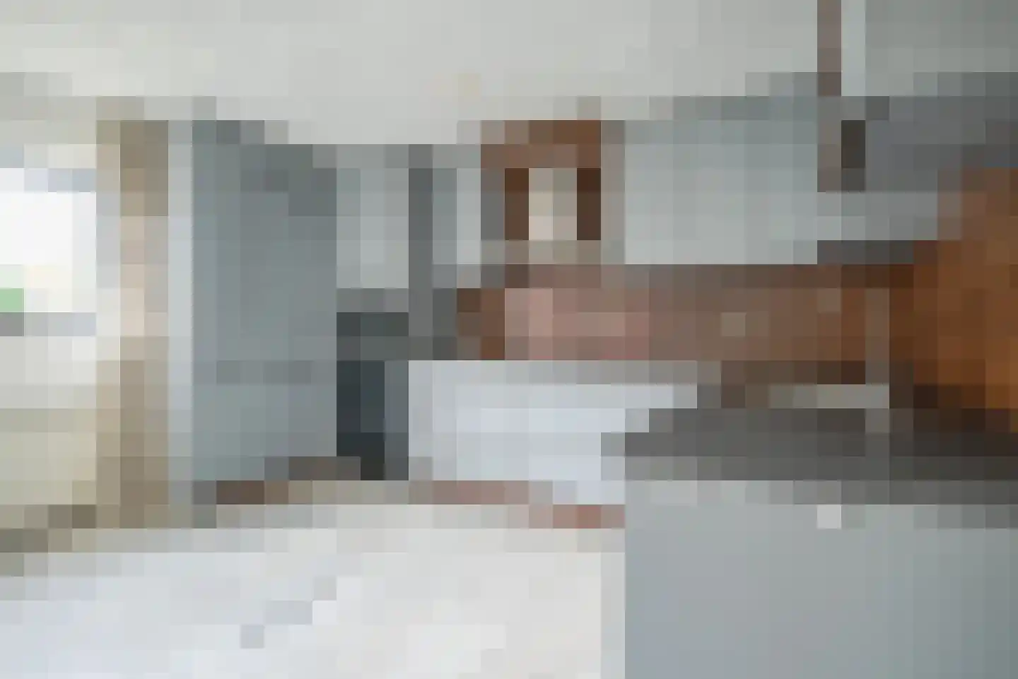 Waghenaerdreef 10 Bergschenhoek thumbnail 18