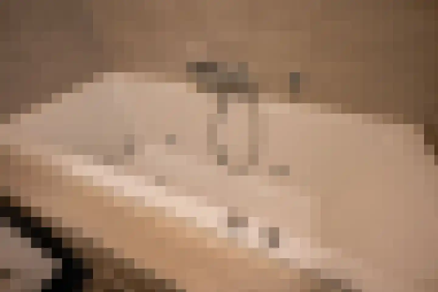 Waghenaerdreef 10 Bergschenhoek thumbnail 25