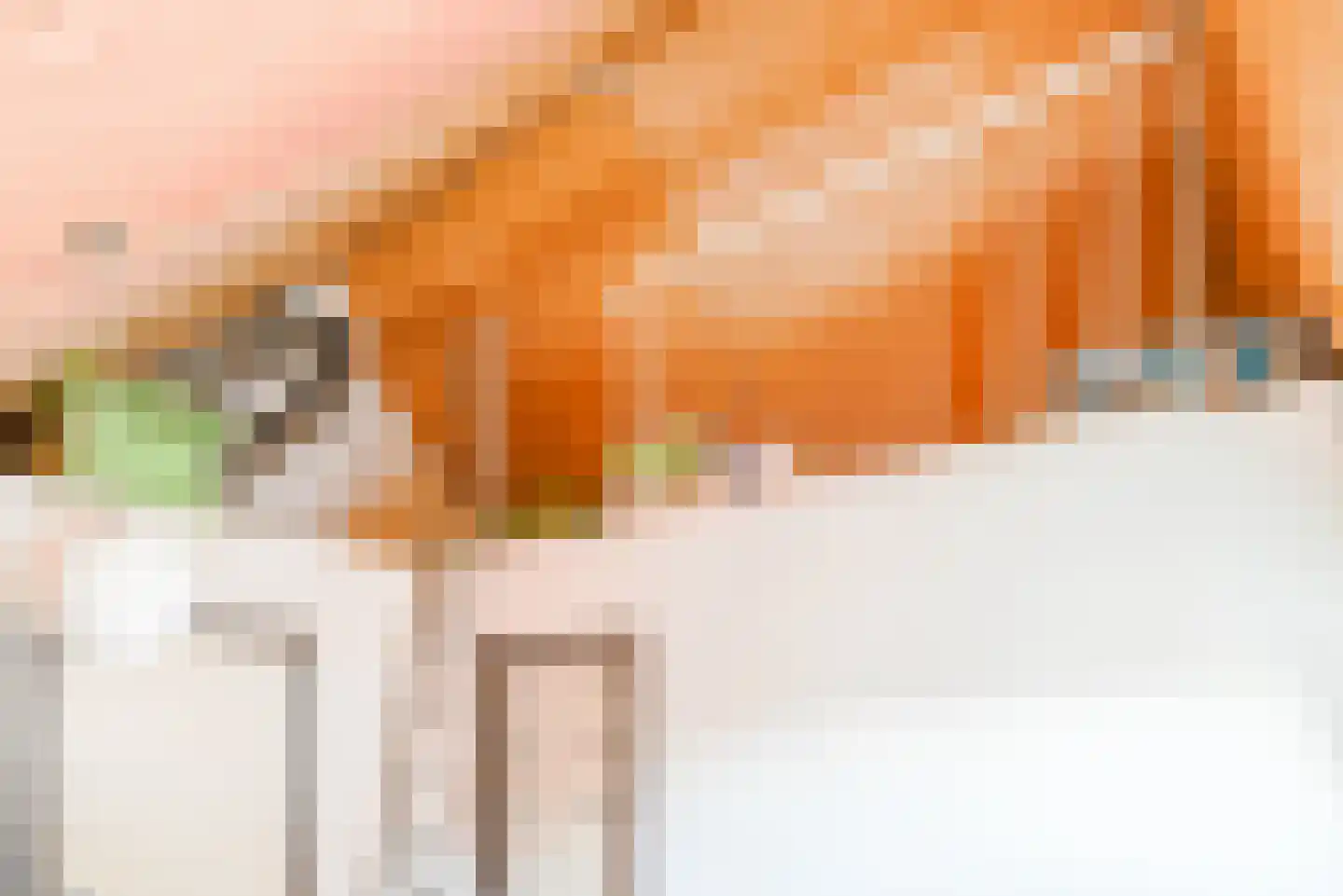 Waghenaerdreef 10 Bergschenhoek thumbnail 40