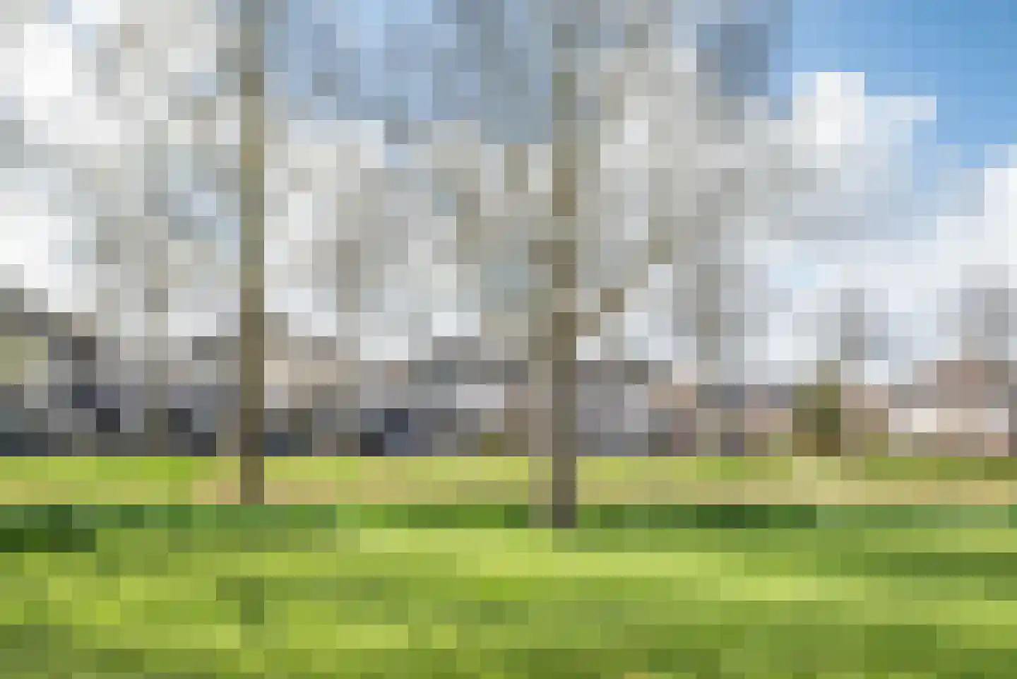 Waghenaerdreef 10 Bergschenhoek thumbnail 50