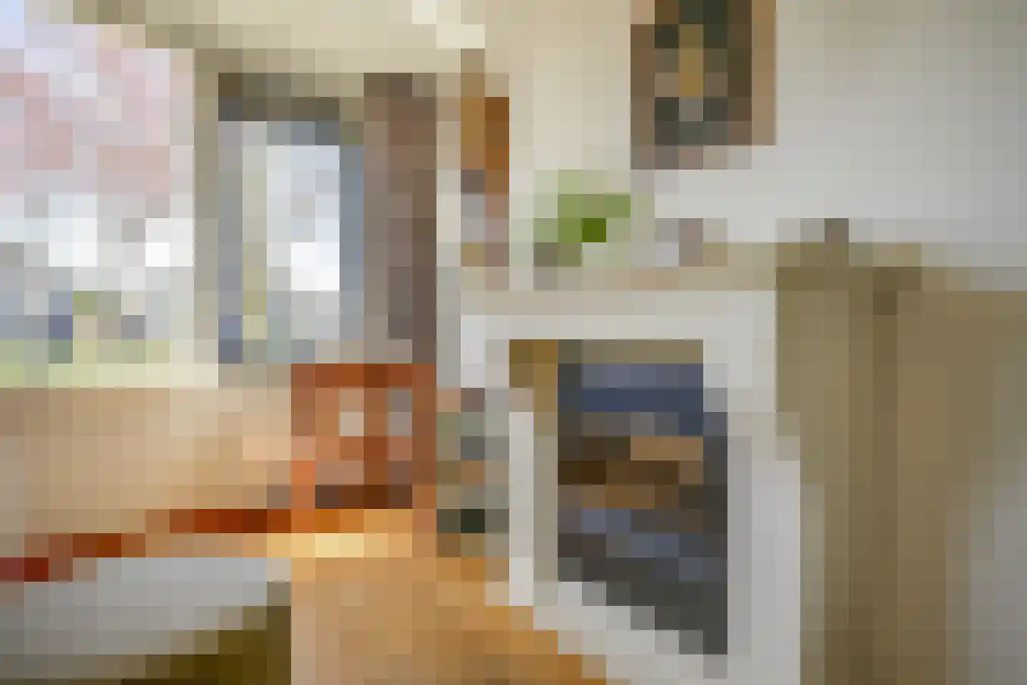 Waghenaerdreef 38 Bergschenhoek thumbnail 10