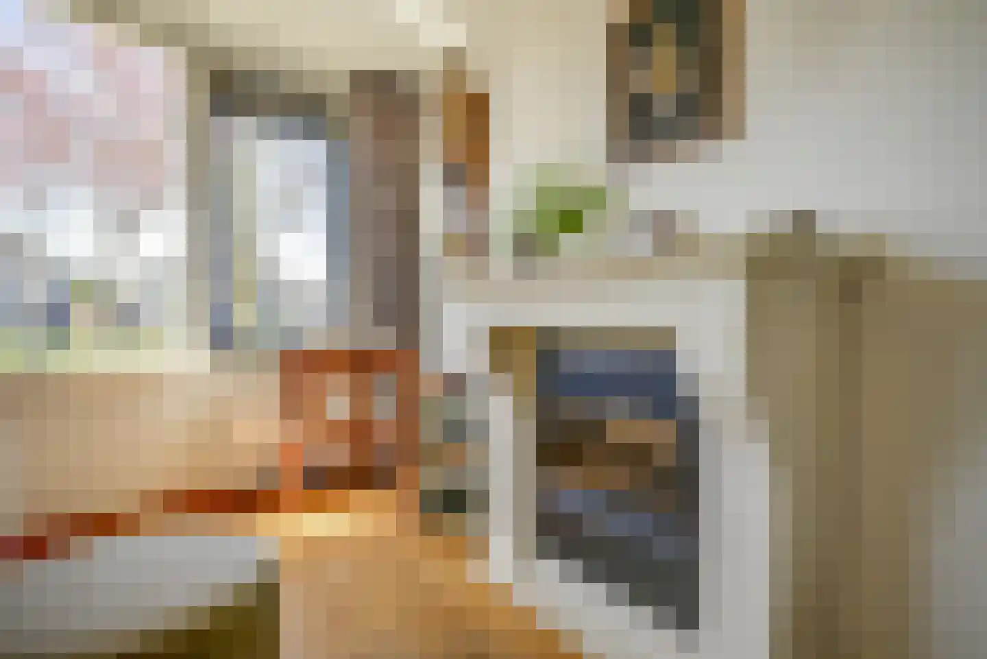 Waghenaerdreef 38 Bergschenhoek thumbnail 13