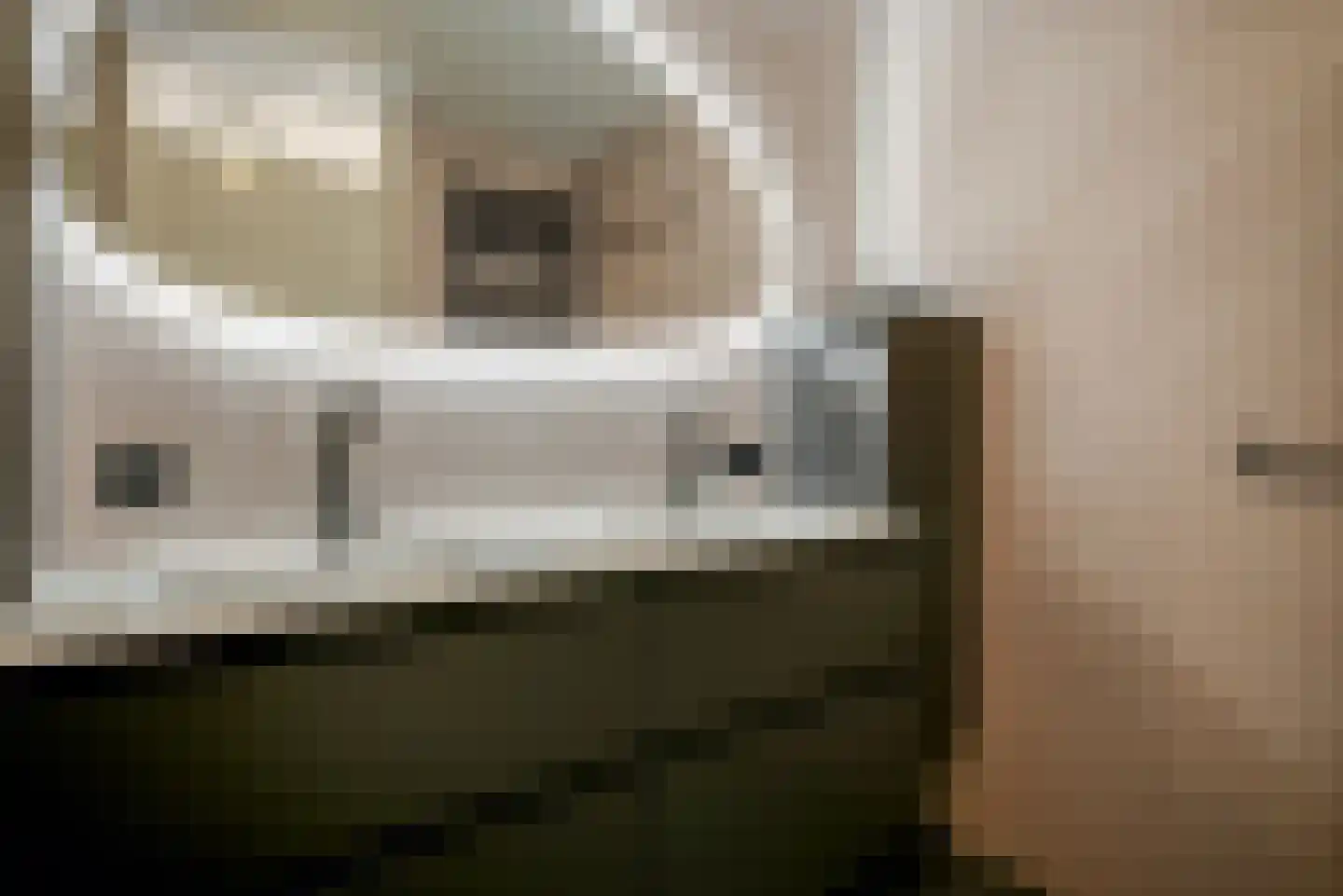 Waghenaerdreef 38 Bergschenhoek thumbnail 19