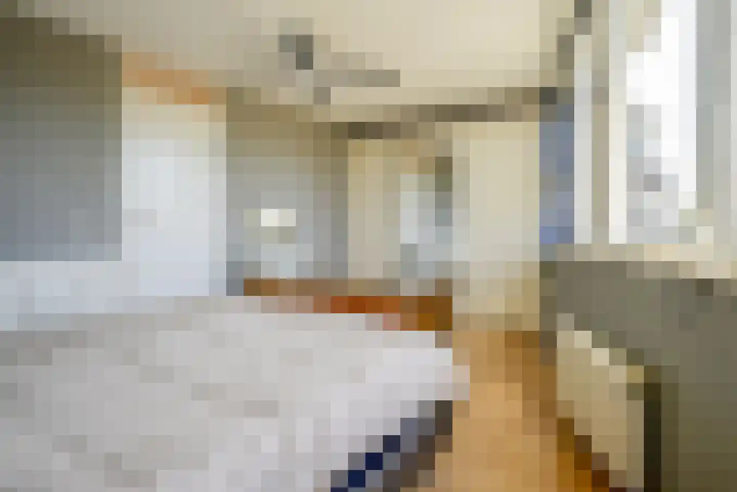 Waghenaerdreef 38 Bergschenhoek thumbnail 24