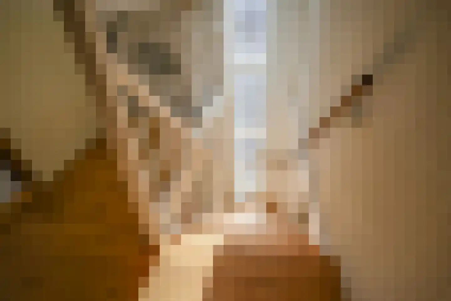 Waghenaerdreef 38 Bergschenhoek thumbnail 32