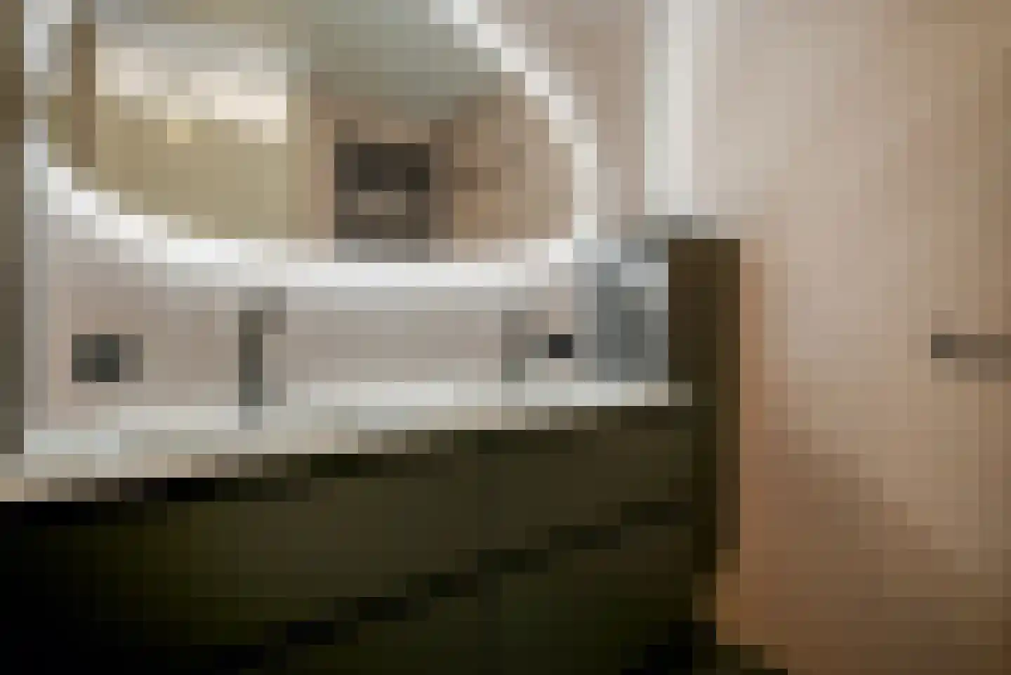 Waghenaerdreef 38 Bergschenhoek thumbnail 4