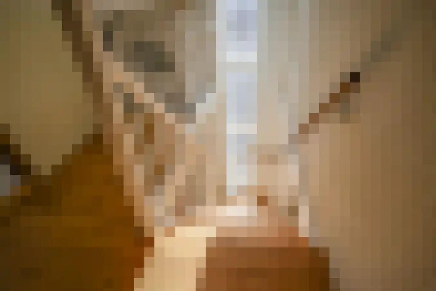 Waghenaerdreef 38 Bergschenhoek thumbnail 42