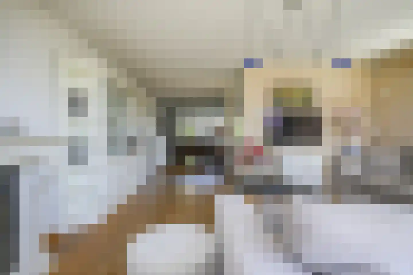 Waghenaerdreef 38 Bergschenhoek thumbnail 9