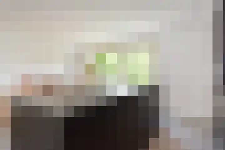 Waghenaerdreef 62 Bergschenhoek thumbnail 12