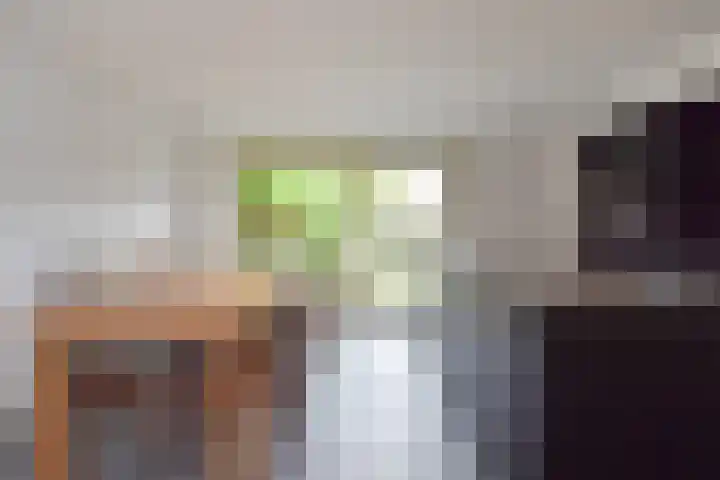 Waghenaerdreef 62 Bergschenhoek thumbnail 14