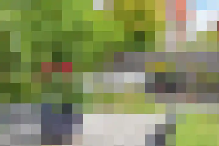 Waghenaerdreef 62 Bergschenhoek thumbnail 19