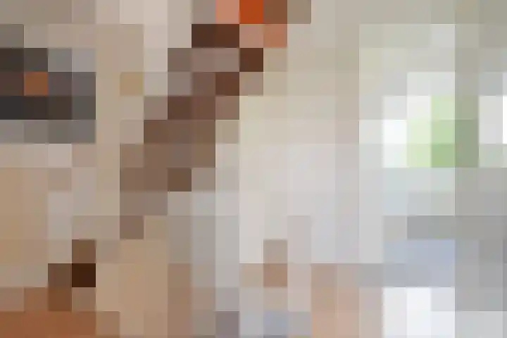 Waghenaerdreef 62 Bergschenhoek thumbnail 27