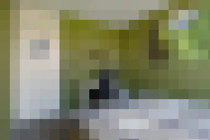 Waghenaerdreef 62 Bergschenhoek thumbnail 29