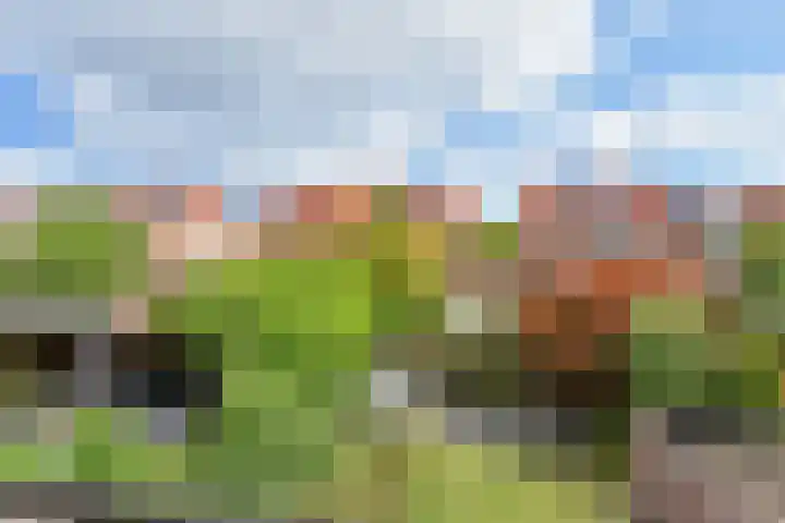Waghenaerdreef 62 Bergschenhoek thumbnail 33