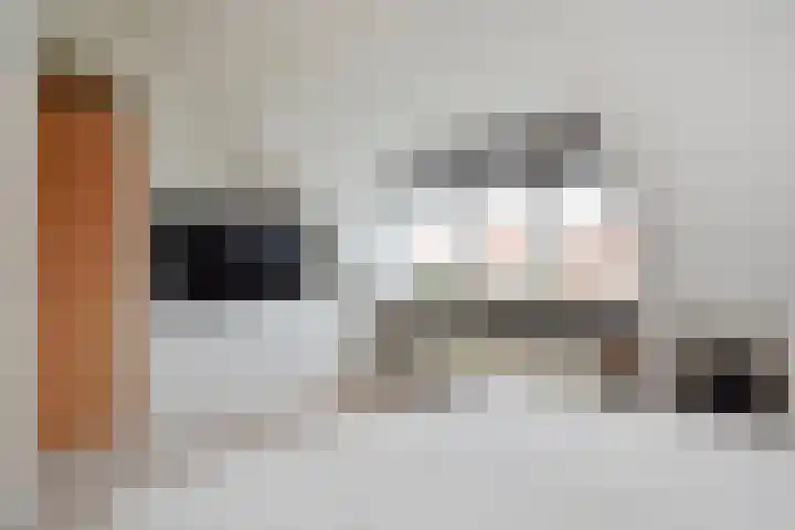 Waghenaerdreef 62 Bergschenhoek thumbnail 36