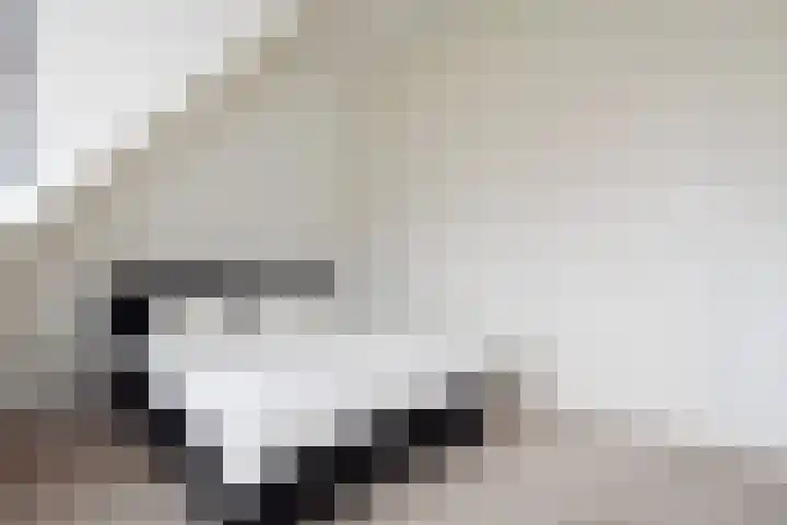 Waghenaerdreef 62 Bergschenhoek thumbnail 37