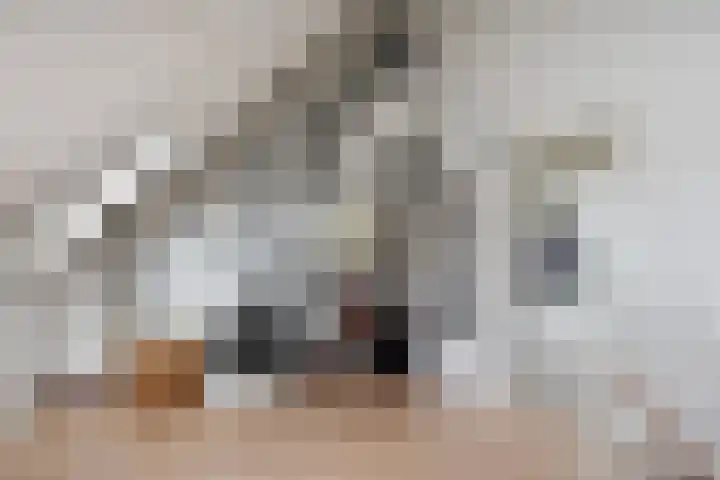 Waghenaerdreef 62 Bergschenhoek thumbnail 39