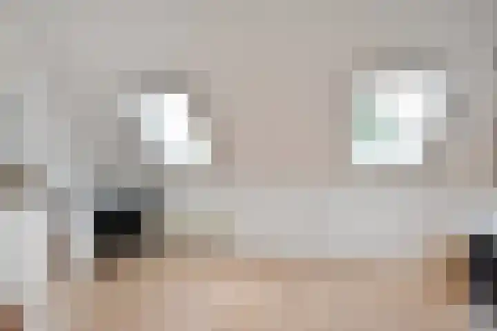 Waghenaerdreef 62 Bergschenhoek thumbnail 40