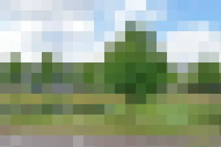 Waghenaerdreef 62 Bergschenhoek thumbnail 41