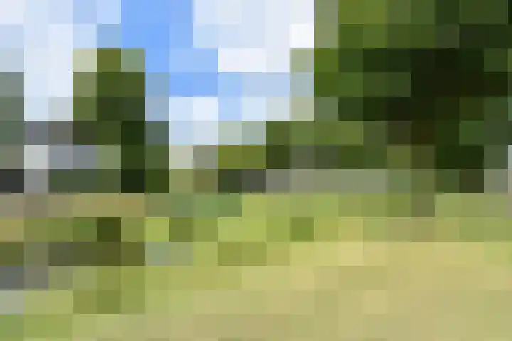 Waghenaerdreef 62 Bergschenhoek thumbnail 42